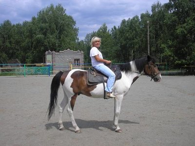 15_295.jpg