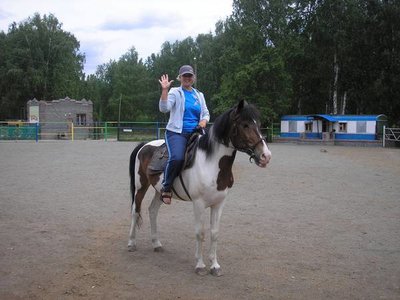 9_290.jpg